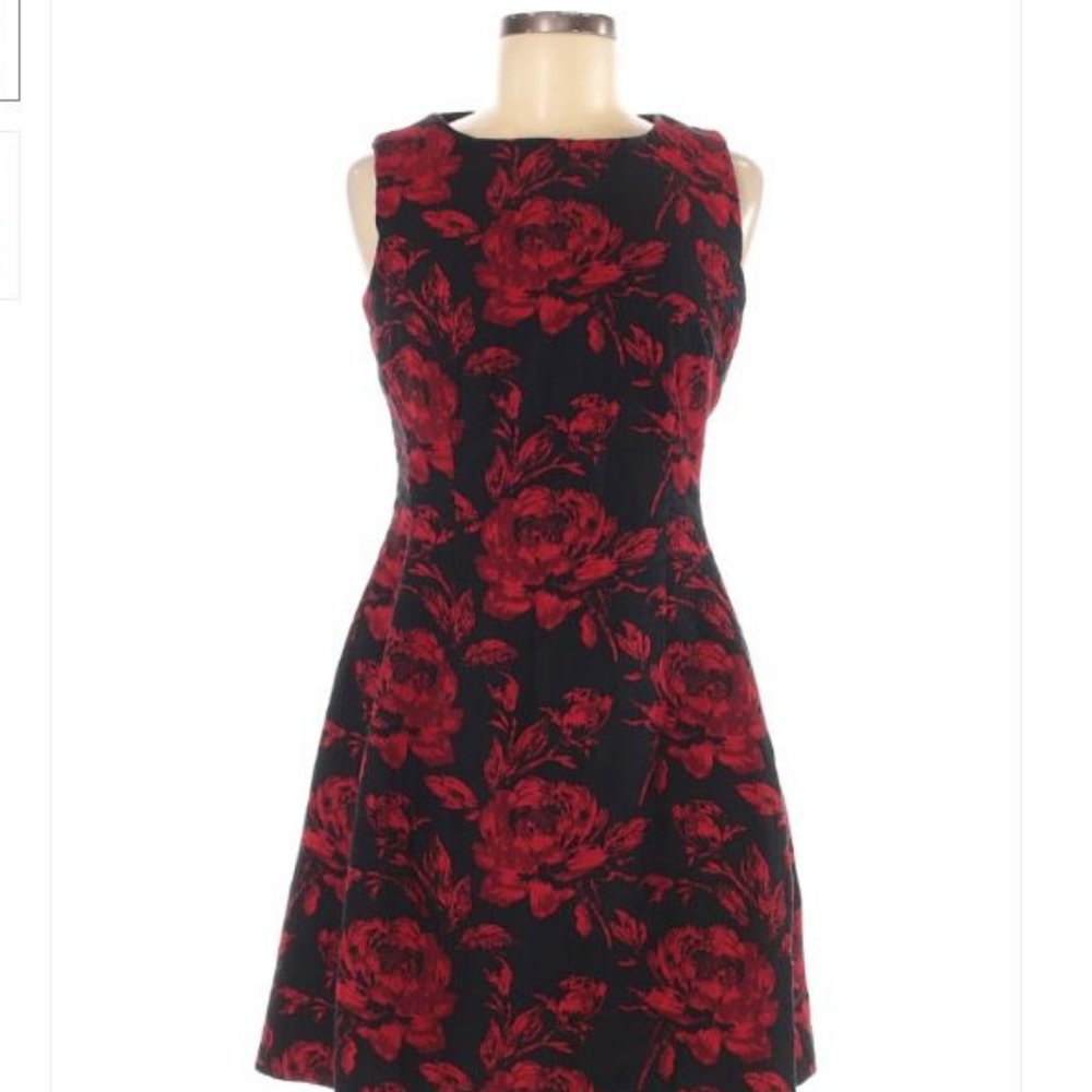 ❤️🖤 Eva Mendes Rose Floral Dress
